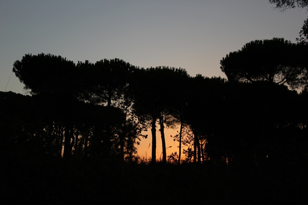 Anochece_StFeliuGuixols